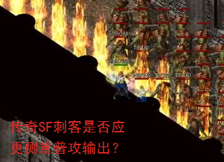 ����SF�̿��Ƿ�Ӧ�������չ������