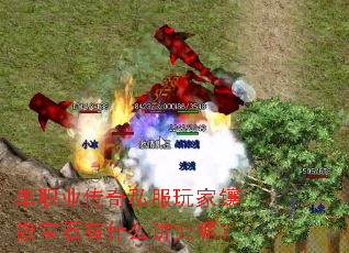 ��ְҵ����˽�������Ƕ��ʯ��ʲô�����أ�