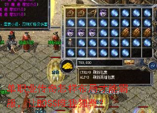 ��ְҵ�����������ֲ��ܰԷ�����BOSSΨ�Ҷ���
