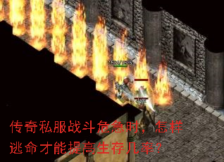 ����˽��ս��Σ��ʱ��������������������漸�ʣ�