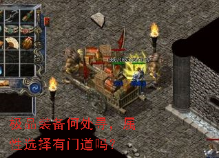 ��Ʒװ���δ�Ѱ������ѡ�����ŵ���