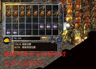 �ུ��������θ�Ч��ɱ����BOSS��
