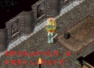 ��ְҵ΢�˴���˽����ǿ����ҪʲôƷ�ʵĿ�ʯ��