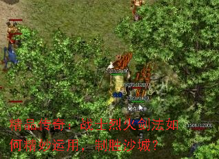 ��Ʒ���棺սʿ�һ𽣷���ξ������ã���ʤɳ�ǣ�