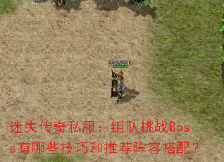 ��ʧ����˽���������սBoss����Щ���ɺ��Ƽ����ݴ��䣿