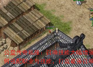 ���洫��˽�����ٻ����ܴ����ǿ����δ���ְҵ�뼼�ܣ�������ǿ�ٻ�����
