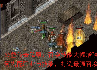 ���洫��˽�����ٻ����ܴ����ǿ����δ���ְҵ�뼼�ܣ�������ǿ�ٻ�����
