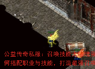 ���洫��˽�����ٻ����ܴ����ǿ����δ���ְҵ�뼼�ܣ�������ǿ�ٻ�����