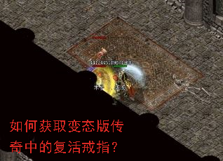 ��λ�ȡ��̬�洫���еĸ����ָ��