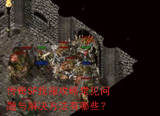 ����SF�ҷ����Գ�������������������Щ��