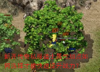�¿�����˽����ʿ���Լӵ����ѡ����ܿ�������ս����