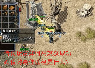 ���������θ�Ч��ȡ��ѫֵ�����;����ʲô��