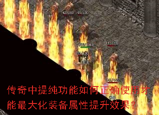 �������ᴿ���������ȷʹ�ò������װ����������Ч����
