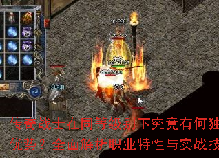����սʿ��ͬ�ȼ����¾����кζ������ƣ�ȫ�����ְҵ������ʵս����