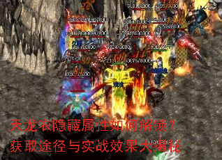 ����������������ν�������ȡ;����ʵսЧ�������