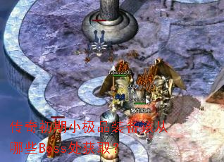 �������С��Ʒװ���ô���ЩBoss����ȡ��