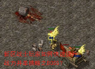 ����սʿ�����ο�������ս����������֮BOSS��