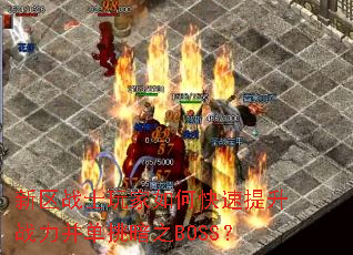����սʿ�����ο�������ս����������֮BOSS��