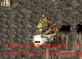 ����˽����ʦ���������������޴��ҩ״̬�µı��������������������