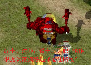 սʿ����ʦ����ʿ����ְҵ��θ������ƫ��ѡ�����·�ߣ�