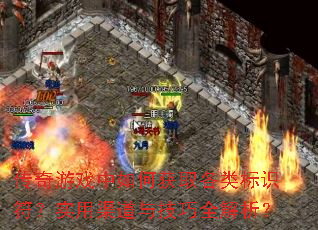 ������Ϸ����λ�ȡ�����ʶ����ʵ�������뼼��ȫ������