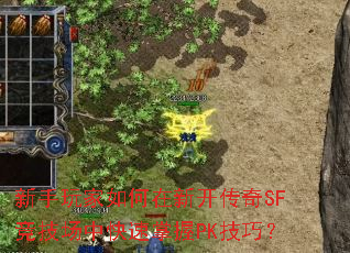 �������������¿�����SF�������п�������PK���ɣ�