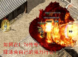 �����1.76������ѡ���ʺ��Լ���ǿ���л᣿