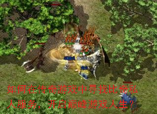 ����ڴ�����Ϸ��Ѱ�ұ���˽�˷��񣬿����۷���Ϸ������