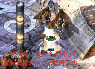 �ķ�����Ȫˮ��;����أ���θ�Ч����Ȫˮ����ս��
