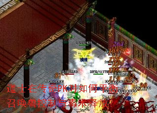 ��ʿ�ڴ���PKʱ���ƽ���ٻ��޿����붾���ͷţ�