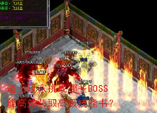 ��ʿ�����ս��ЩBOSS�ܸ�Ч��ȡ�߼������飿