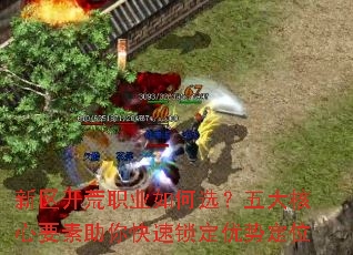 ��������ְҵ���ѡ��������Ҫ����������������ƶ�λ