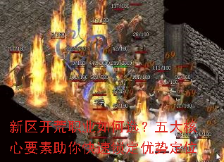 ��������ְҵ���ѡ��������Ҫ����������������ƶ�λ