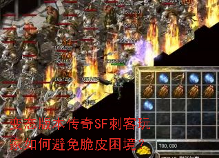 ��̬�汾����SF�̿������α����Ƥ������