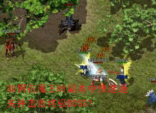 �����ħ���븱���п���ͨ�ز������ռ�BOSS��