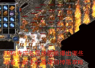 �������������ͼ�ܱ�����Щװ�������ֱؿ���ϸ���乥��