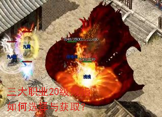 ����ְҵ20����ָ���ѡ�����ȡ��