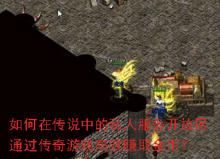 ����ڴ�˵�е�˽�˷��񿪷���ͨ��������Ϸ��Ч׬ȡ��ң�