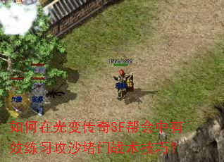 ����ڹ�䴫��SF�������Ч��ϰ��ɳ����ս�����ɣ�