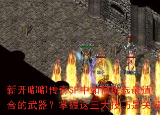 �¿��ུ���SF�������ѡ���ʺϵ��������������������ǹؼ�