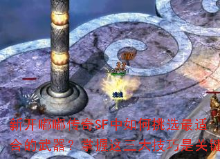 �¿��ུ���SF�������ѡ���ʺϵ��������������������ǹؼ�