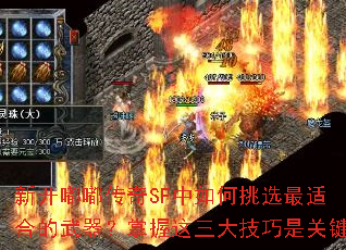 �¿��ུ���SF�������ѡ���ʺϵ��������������������ǹؼ�