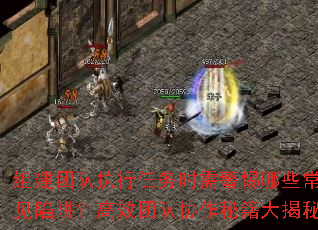 �齨�Ŷ�ִ������ʱ�辯����Щ�������壿��Ч�Ŷ�Э���ؼ������