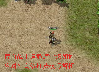����սʿ������ʿ�����Ӧ�ԣ���Ч�򷨼��ɽ���