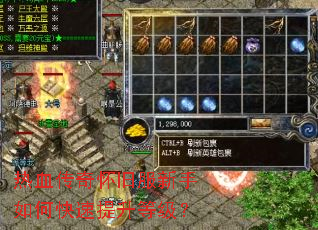 ��Ѫ���滳�ɷ�������ο��������ȼ���