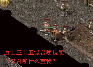 ��ʿ��ʮ�弶�ٻ����ܿ����ٻ�ʲô���