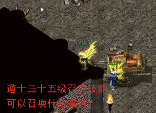 ��ʿ��ʮ�弶�ٻ����ܿ����ٻ�ʲô���