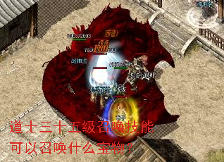 ��ʿ��ʮ�弶�ٻ����ܿ����ٻ�ʲô���