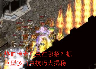 ��Ѫ����ǳ������У�ץ���Ͷ�ǳ漼�ɴ����