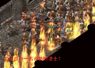 ��γ�Ϊһ���ϸ�ĵ�ʿ��